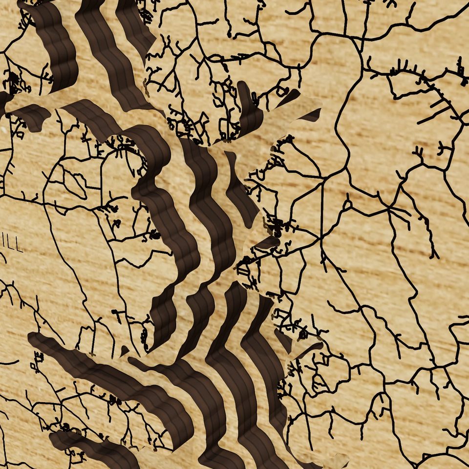Toledo Bend Reservoir 3D wood map, detail view