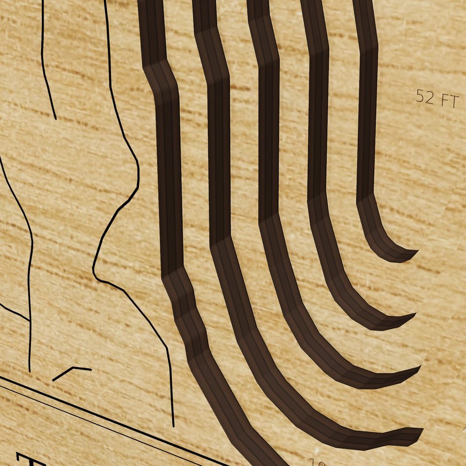 Trickey Pond 3D wood map, detail view