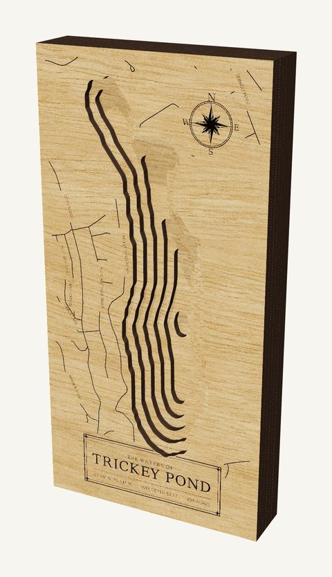 Trickey Pond wood map