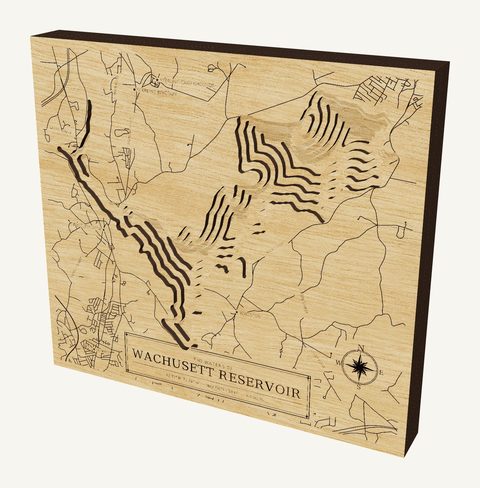 Wachusett Reservoir wood map