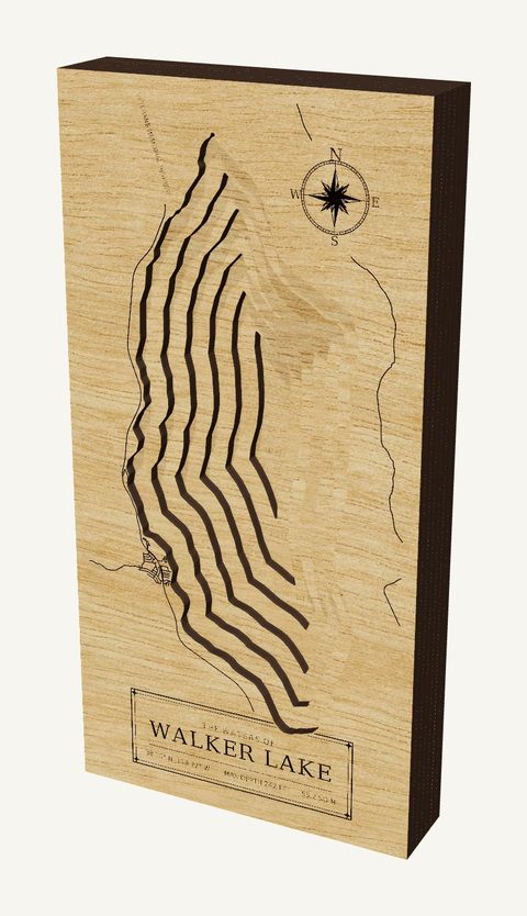 Walker Lake wood map