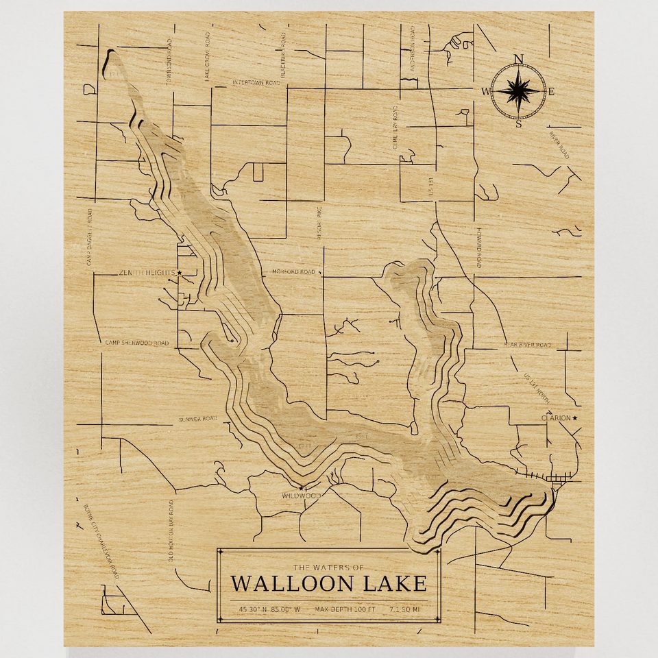 Walloon Lake 3D wood map, front view