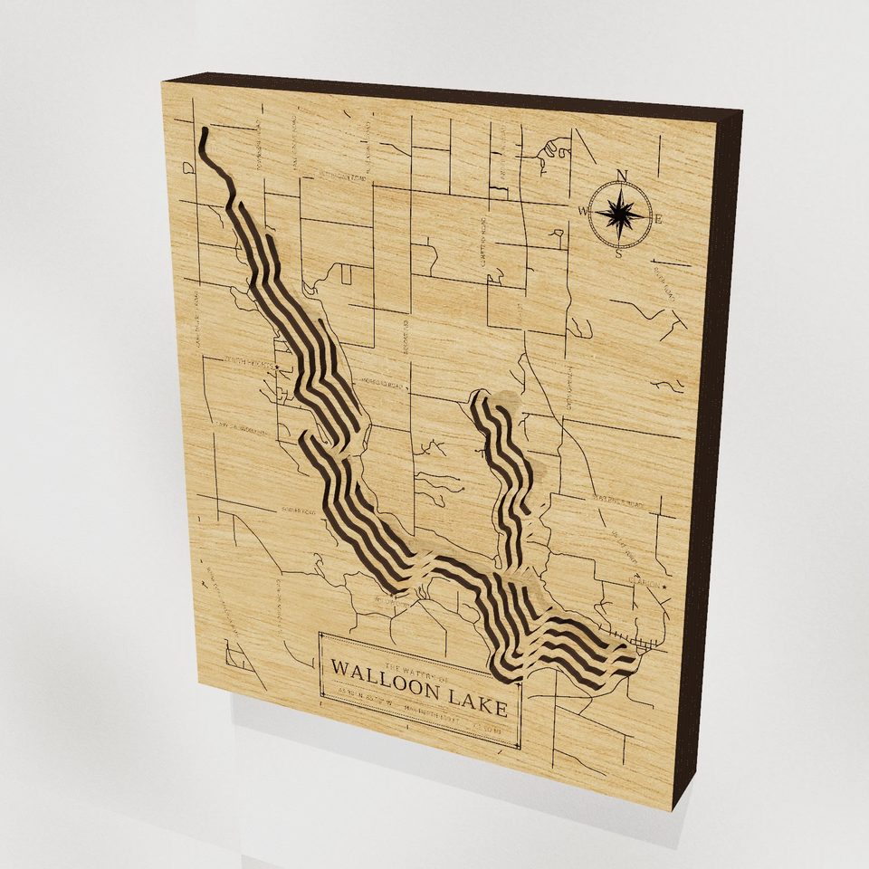 Walloon Lake 3D wood map, hero view