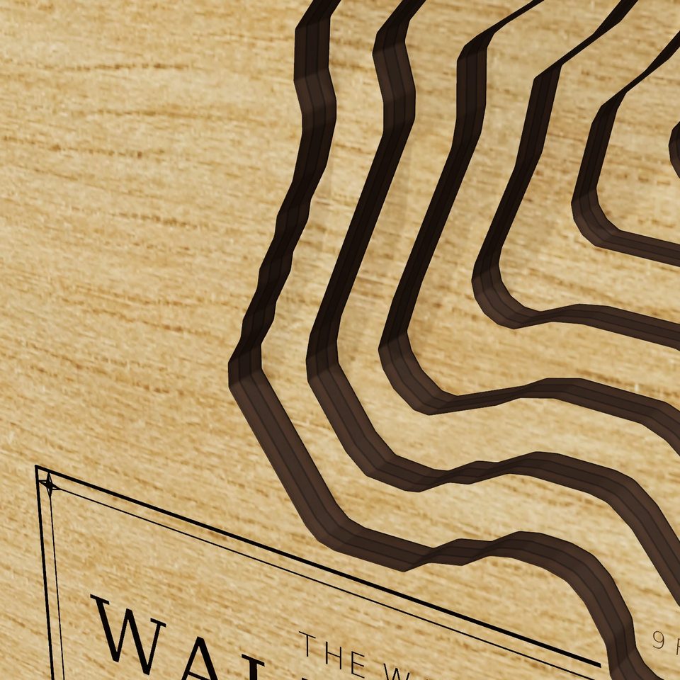 Wallum Lake 3D wood map, detail view
