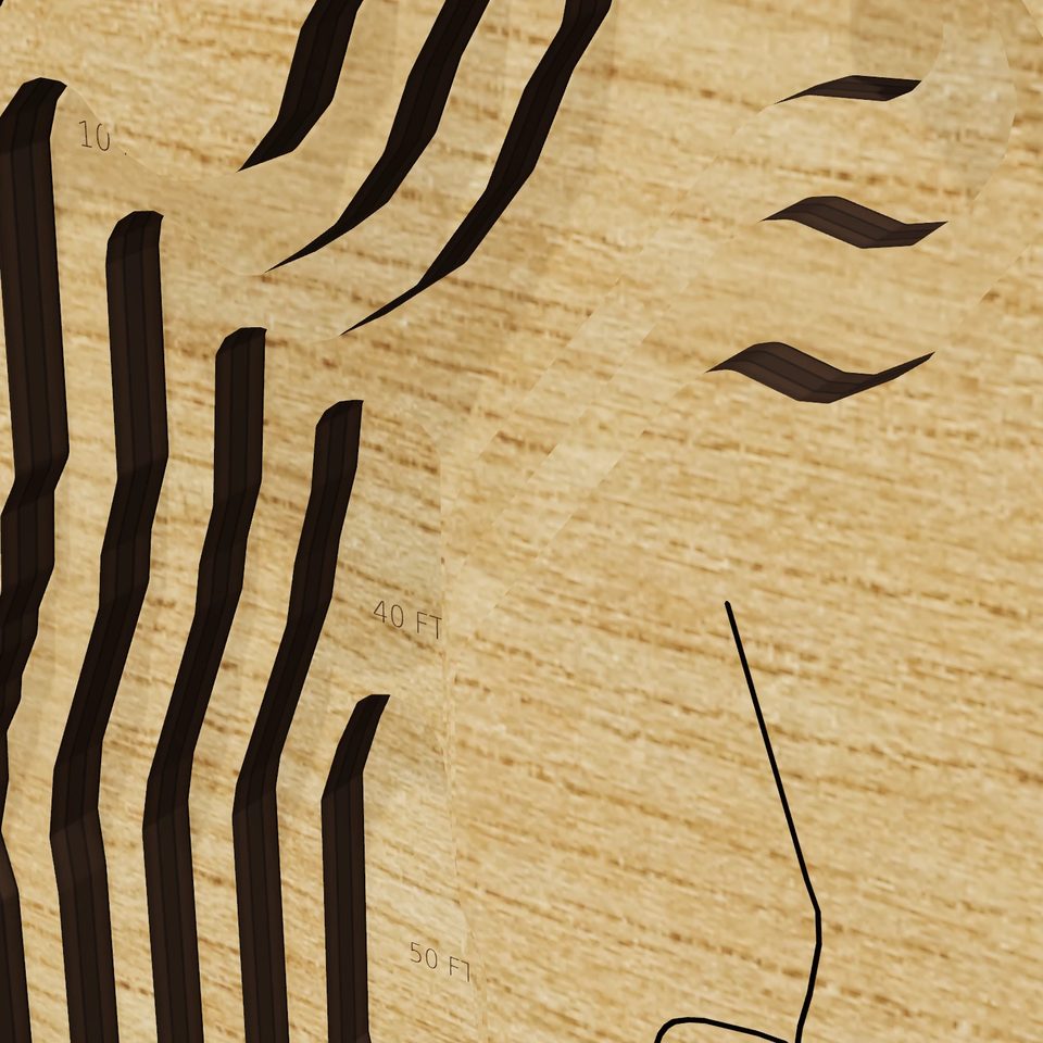 Whaley Lake 3D wood map, detail view