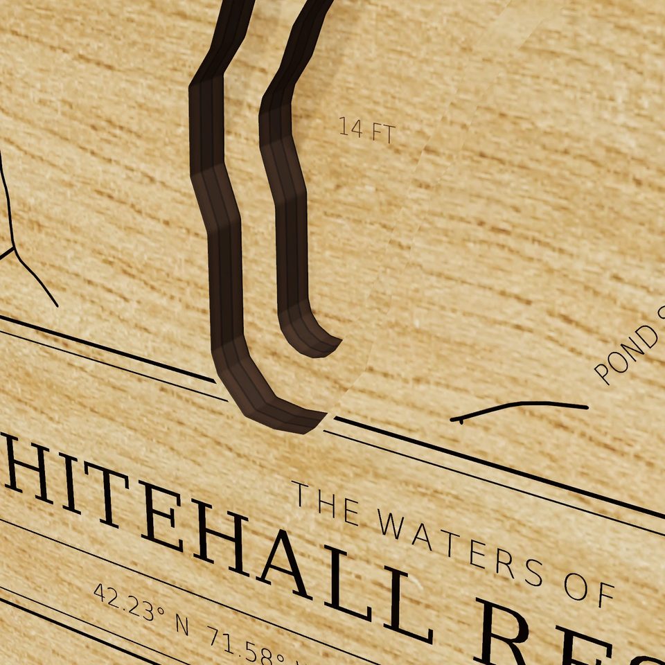 Whitehall Reservoir 3D wood map, detail view