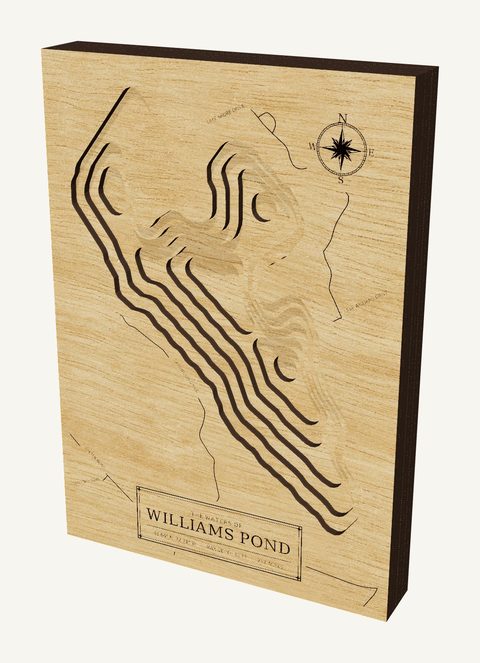 Williams Pond wood map