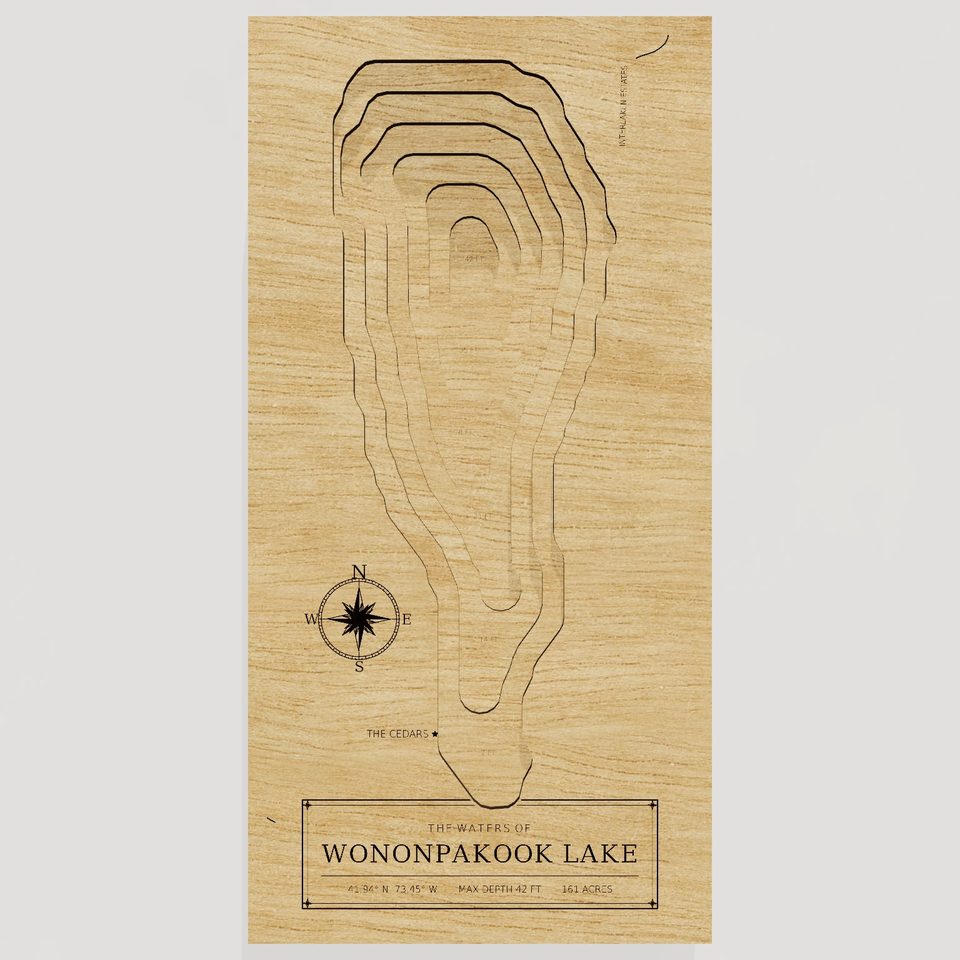 Wononpakook Lake 3D wood map, front view