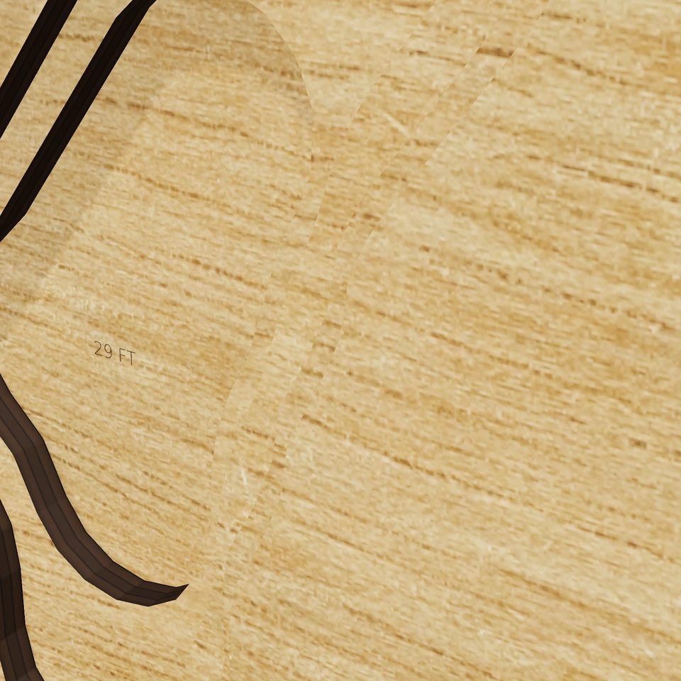 Worden Pond 3D wood map, detail view