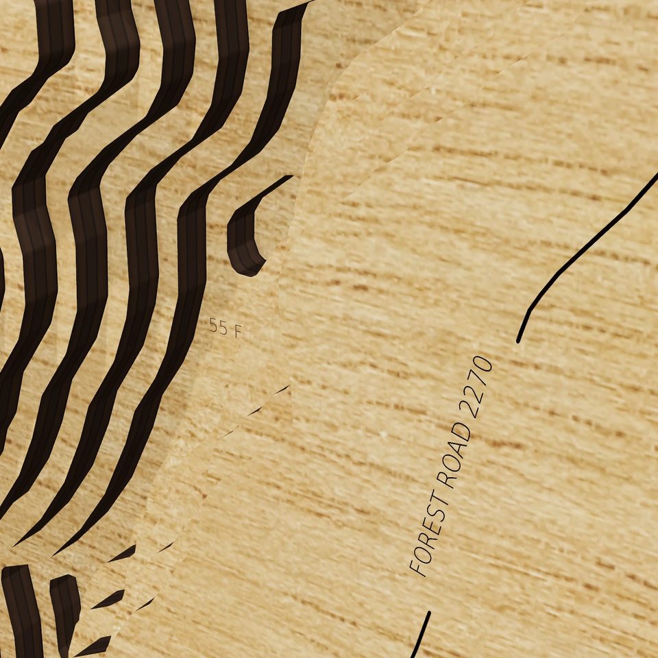 Wynoochee Lake 3D wood map, detail view